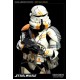 Sideshow Star Wars Utapau Airborne Trooper Sixth Scale Figure 30cm